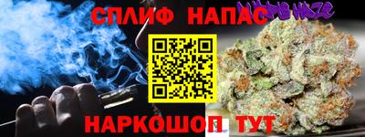 гашик Бузулук