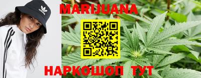 гашик Бузулук